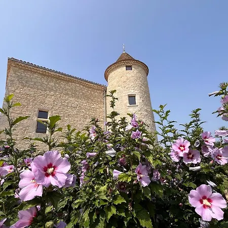 Dom wakacyjny Le - Domaine Lassalle Saint-creac