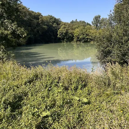 Dom wakacyjny Le - Domaine Lassalle Saint-creac *